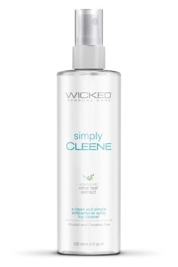 WICKED SIMPLY CLEENE TOYCLEANER 120ML