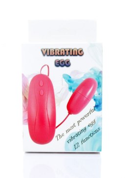 Vibrating EGG- 12 functions