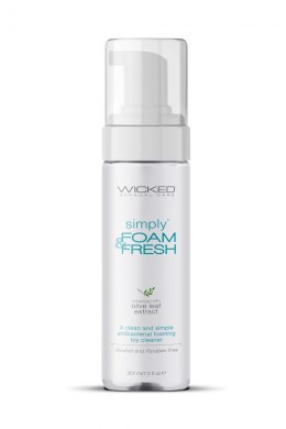 WICKED SIMPLY FOAM & FRESH TOY CLEANER